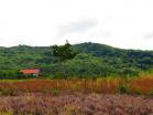 Se vende finca 2.7 Ha, urbanizables, menos de $10 por m2. Boquete, Chiriquí