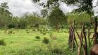 Venta de finca en Sioguí 11