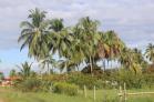 Lote de 1,000 m2 en venta en Playa Las Lajas a 300 metros del mar. Chiriqu
