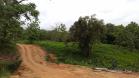 finca federal mall chiriqui