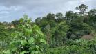 Venta o Alquiler de casa amoblada muy cerca al centro de Boquete en Volcancito, Bajo Boquete, Chiriquí, Panamá