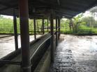 Finca San Vicente12