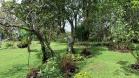 Venta de casa muy agradable rodeada de naturaleza, 3HA en Volcancito, Alto Boquete, Chiriquí, Panamá
