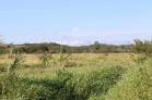 Venta lote de 9,000 m2 en Volcn, va Caizn. Chiriqu.