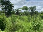 Finca en las lomas 6