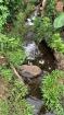 Venta de finca en Aguacate 28