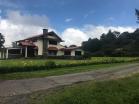 Lotes en alto lino 5