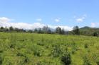 Finca en venta en Boquete. Finca muy especial por su vista y potencial de negocio. Panam