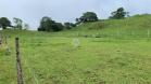 Venta de 60 HA con vistas impresionantes y suelos fértiles - Caisán, Renacimiento, Chiriquí, Panamá