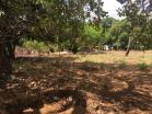 Venta de lote amplio en San Pablo con 4,656 m2. Chiriquí