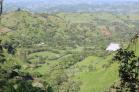 Se vende finca en Volcn a 25 minutos del Pueblo! Chiriqu