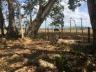 Venta de lote amplio en San Pablo con 4,656 m2. Chiriquí