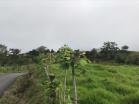 Venta de finca en caisan 7
