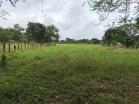 venta de 1.8 ha en caimito dolega 2