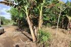 Lote de 820 m2 en venta en San Pablo, Chiriqu
