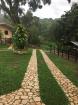 Finca Ganadera de 64 Ha con casa de campo amoblada en venta, Breñon, Renacimiento, Chiriquí 