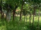 Venta de finca en zambrano 3