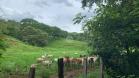 Pozos termales 23
