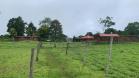 Venta de 60 HA con vistas impresionantes y suelos fértiles - Caisán, Renacimiento, Chiriquí, Panamá