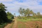 Lote de 1,000 m2 en venta en Playa Las Lajas a 300 metros del mar. Chiriqu