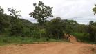 finca federal mall chiriqui