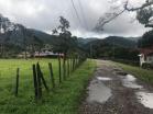 Lotes en alto lino 4