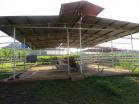 Finca autosuficiente en Venta en Chiriqu. Finca que todos desean tener!