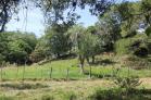 Se vende finca en Tinajas con gran potencial para desarrollo de casas! Chiriqu