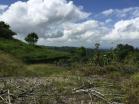 Venta e Finca en Volcan. Ideal para hacer su casa al gusto. Chiriqu, Panam