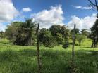 Finca San Vicente15