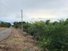 venta de finca en horconcitos 2