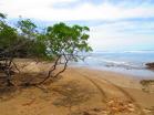 Se vende finca con acceso al mar, totalmente ganadera y con potencial turstico. Chiriqu, Panam.