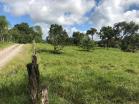 Finca San Vicente16