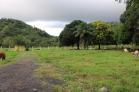 Se vende lote de 4,000 m2 en San Carlos. Chiriqu