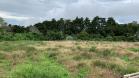 Finca en Palmira 10