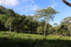 Se vende finca en Volcn a 25 minutos del Pueblo! Chiriqu