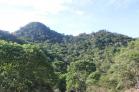 Se vende finca en Volcn a 25 minutos del Pueblo! Chiriqu