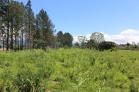 Finca en venta en Boquete. Finca muy especial por su vista y potencial de negocio. Panam