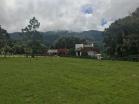 Lotes en alto lino 2