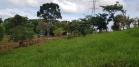 Venta de finca en remedios 2
