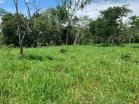 Venta de finca en zambrano 9