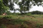 Se vende lote de 6,500 m2 en el Flor de Dolega. Chiriqu