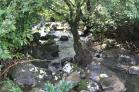 Venta de lote en Potrerillos con vista al mar!