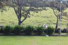 Venta de casa semi amoblada en Potrerillos con todas las comodidades. Chiriqu