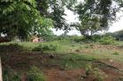 Se vende lote de 6,500 m2 en el Flor de Dolega. Chiriqu