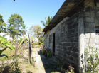 1.17 HA en Barú, Puerto Armuelles. Casa y finca en Chiriquí, Panamá