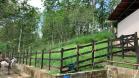 Finca Ganadera de 64 Ha con casa de campo amoblada en venta, Breñon, Renacimiento, Chiriquí 
