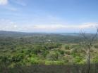 Se vende finca con potencial para desarrollar diferente tipos de negocios. Nancito, Chiriquí