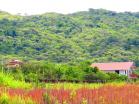 Se vende finca 2.7 Ha, urbanizables, menos de $10 por m2. Boquete, Chiriquí