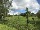 Finca San Vicente18